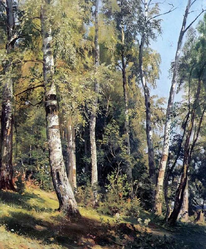 Ivan Shishkin Birch Grove oil painting picture